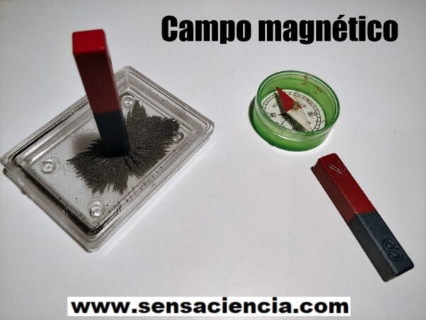 Campo magnetico con polvo de hierro y compás