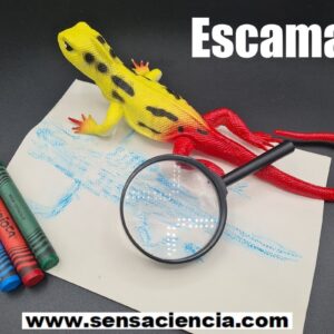 Dibujar escamas con ceras