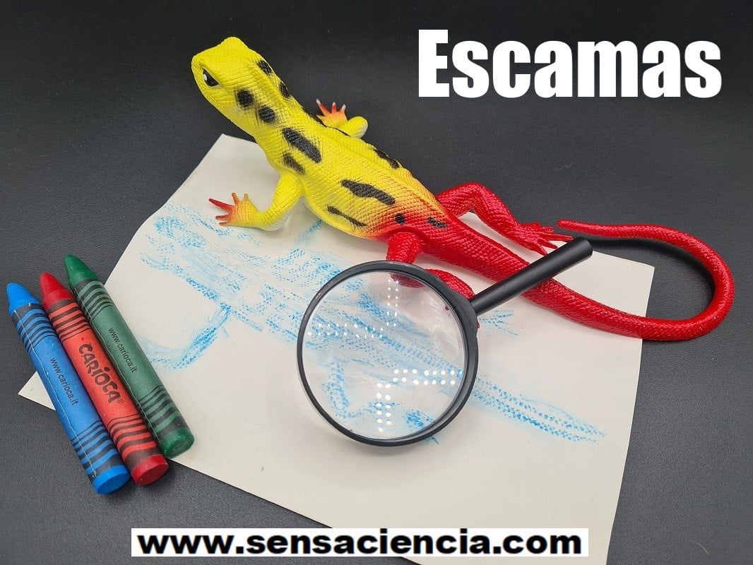 Dibujar escamas con ceras