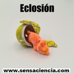 Eclosión de un huevo de juguete