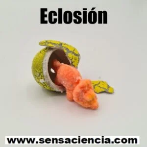 Eclosión de un huevo de juguete