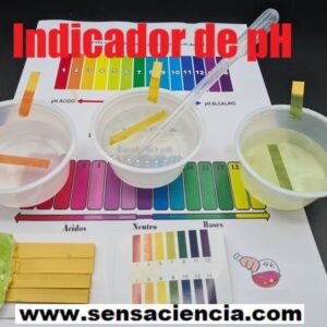 Experimento para niños con papel tornasol o indicador de pH