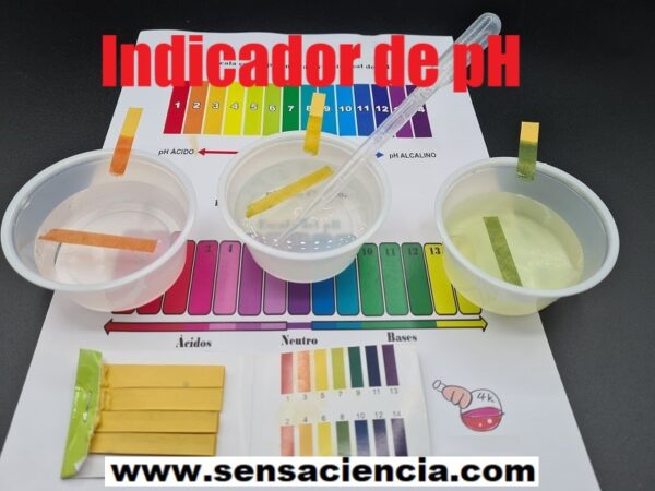 Experimento para niños con papel tornasol o indicador de pH