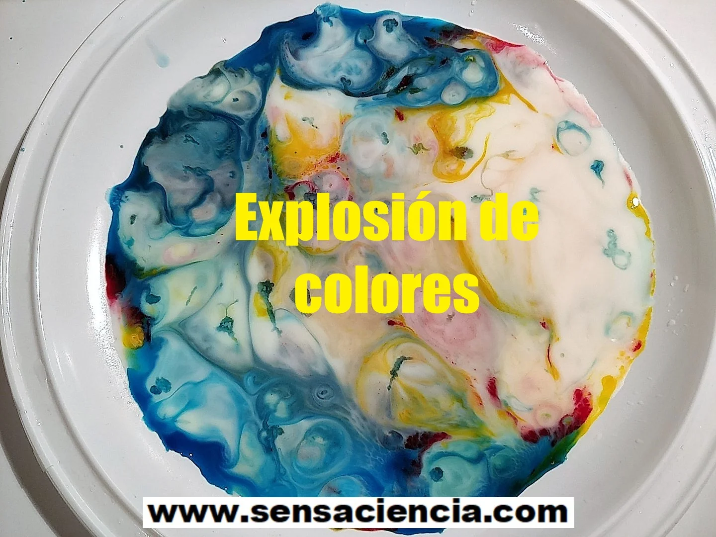 Explosión de colores con leche y detergente