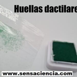 Extracción de huellas dactilares para niños