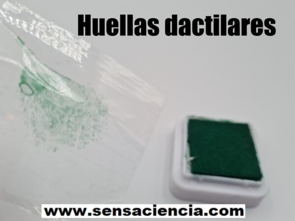 Extracción de huellas dactilares para niños