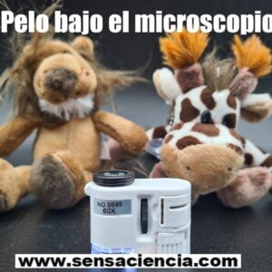 Pelaje animal con microscopio para niños