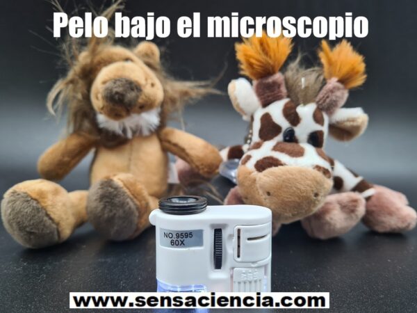 Pelaje animal con microscopio para niños