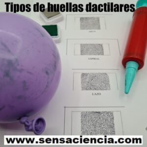 Tipos de huellas dactilares para niños